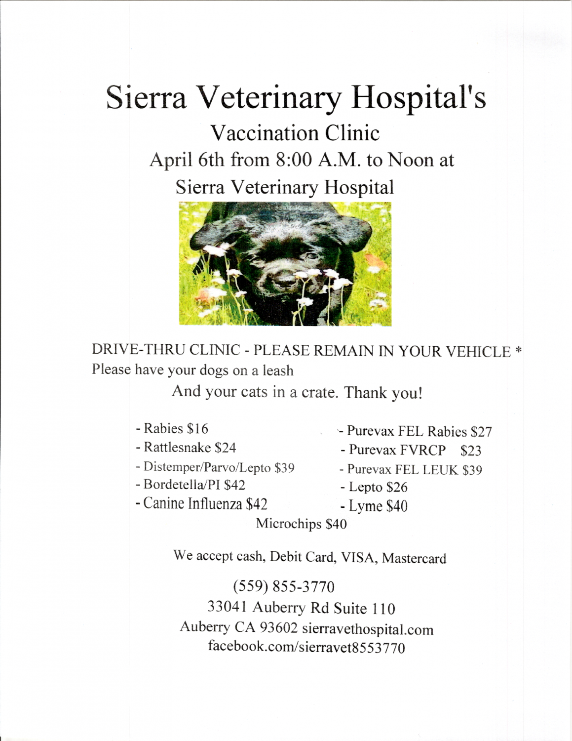 2024 Spring Vaccine Clinic Flyer